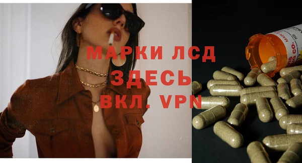 apvp Надым