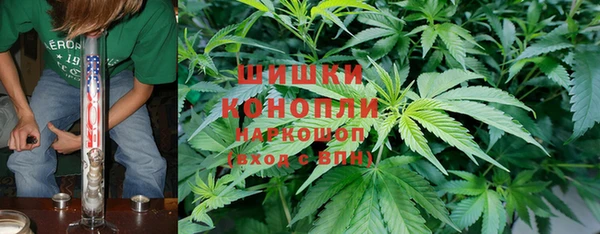 apvp Надым