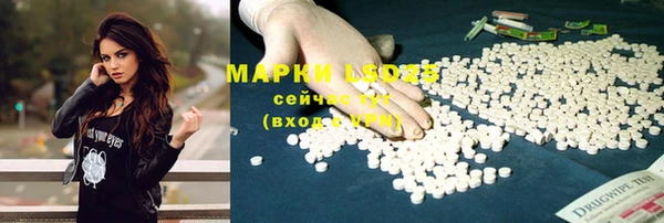apvp Надым