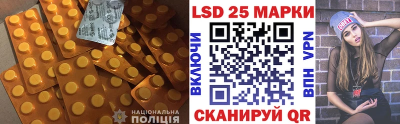 как найти наркотики Каменногорск Лсд 25 экстази кислота