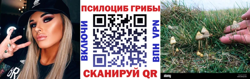 Галлюциногенные грибы прущие грибы Каменногорск